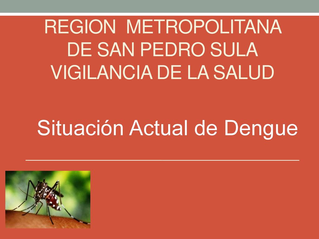 Region Metropolitana de San Pedro Sula Vigilancia de la salud