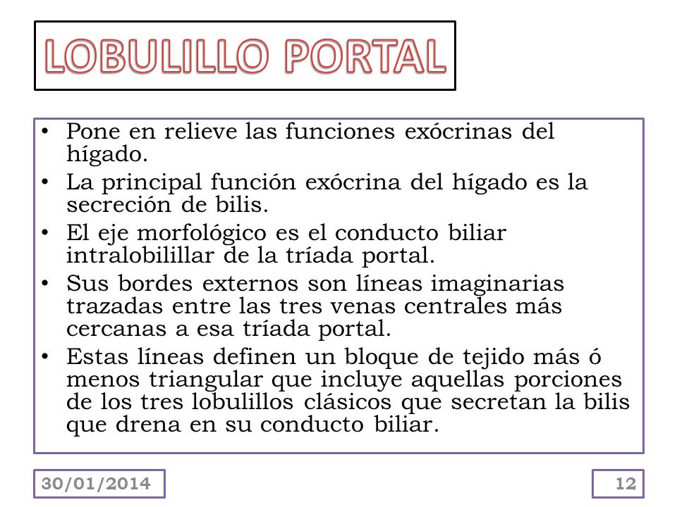 LOBULILLO PORTAL Pone en relieve las funciones exócrinas del hígado.