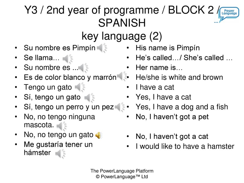 Y3 / 2nd year of programme / BLOCK 2 / SPANISH key language (2)