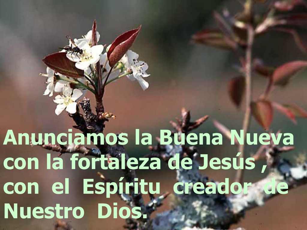 Anunciamos la Buena Nueva con la fortaleza de Jesús , con el Espíritu creador de Nuestro Dios.