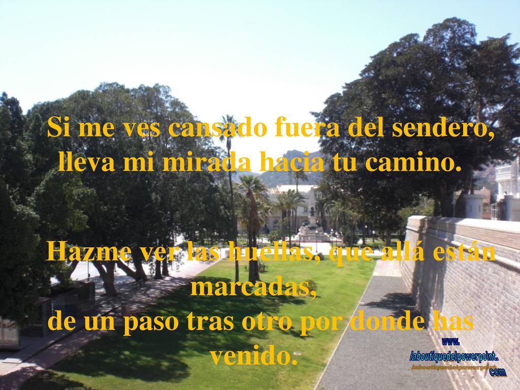 Si me ves cansado fuera del sendero, lleva mi mirada hacia tu camino.