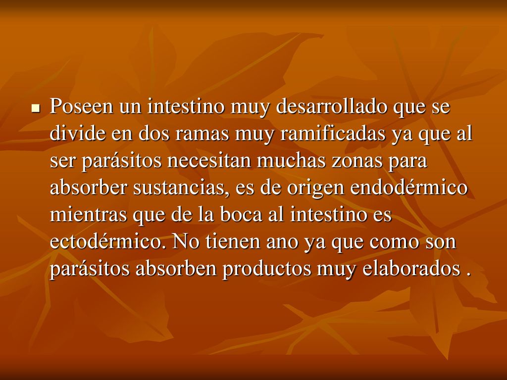 Poseen un intestino muy desarrollado que se divide en dos ramas muy ramificadas ya que al ser parásitos necesitan muchas zonas para absorber sustancias, es de origen endodérmico mientras que de la boca al intestino es ectodérmico.