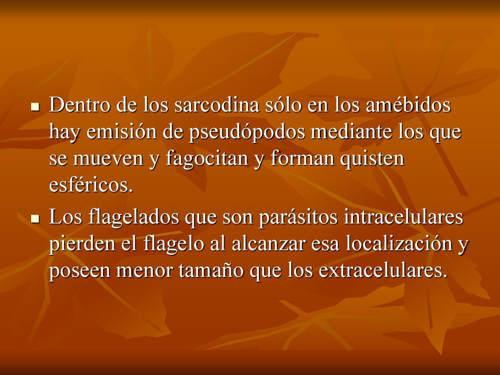 Dentro de los sarcodina sólo en los amébidos hay emisión de pseudópodos mediante los que se mueven y fagocitan y forman quisten esféricos.