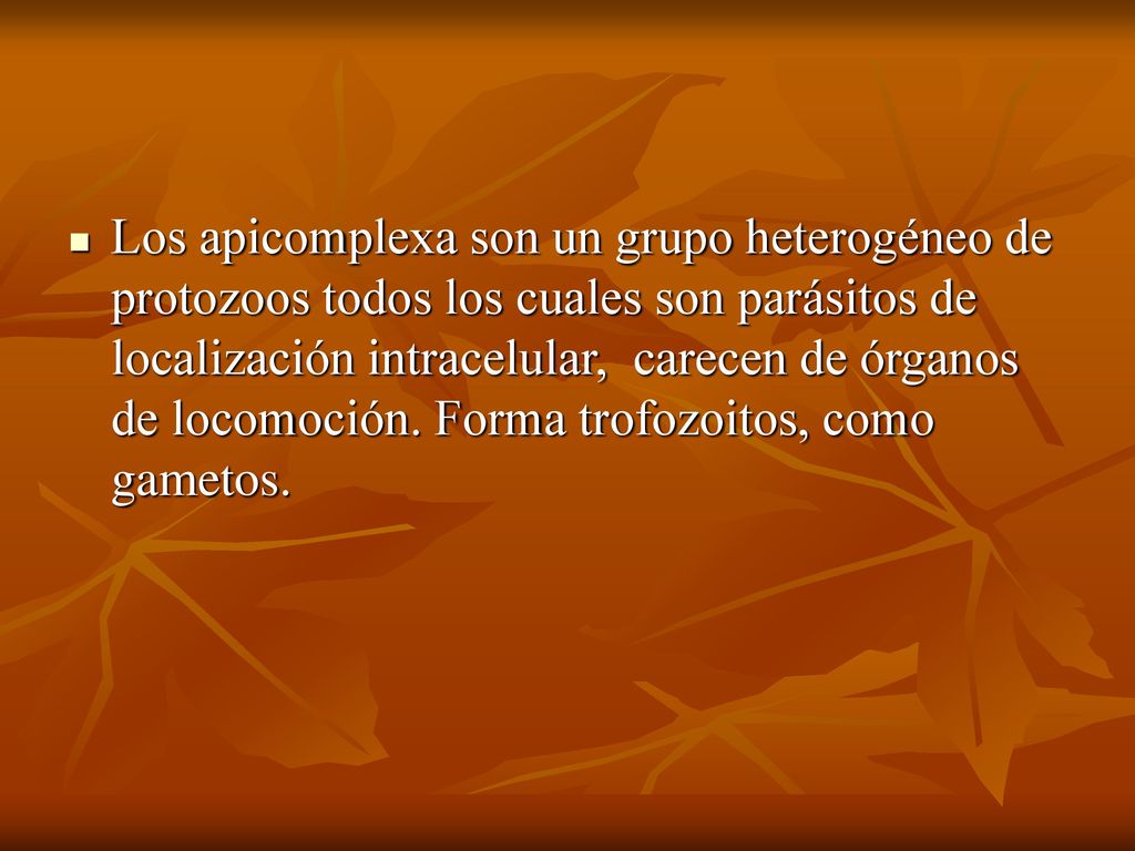 Los apicomplexa son un grupo heterogéneo de protozoos todos los cuales son parásitos de localización intracelular, carecen de órganos de locomoción.