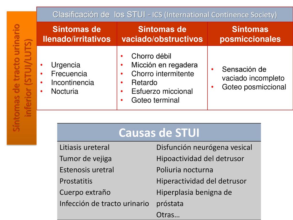 Causas de STUI Síntomas de tracto urinario inferior (STUI/LUTS)