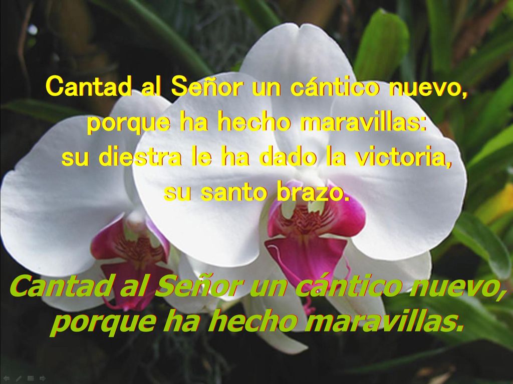Cantad al Señor un cántico nuevo, porque ha hecho maravillas: