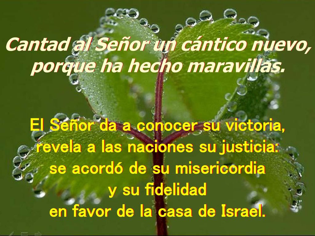 Cantad al Señor un cántico nuevo, porque ha hecho maravillas.