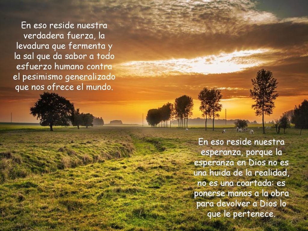 En eso reside nuestra verdadera fuerza, la levadura que fermenta y la sal que da sabor a todo esfuerzo humano contra el pesimismo generalizado que nos ofrece el mundo.