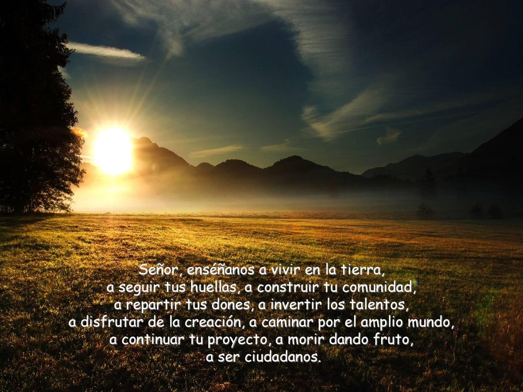 Señor, enséñanos a vivir en la tierra, a seguir tus huellas, a construir tu comunidad, a repartir tus dones, a invertir los talentos, a disfrutar de la creación, a caminar por el amplio mundo, a continuar tu proyecto, a morir dando fruto, a ser ciudadanos.