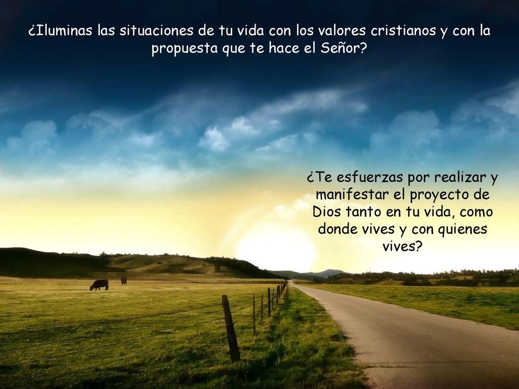 ¿Iluminas las situaciones de tu vida con los valores cristianos y con la propuesta que te hace el Señor