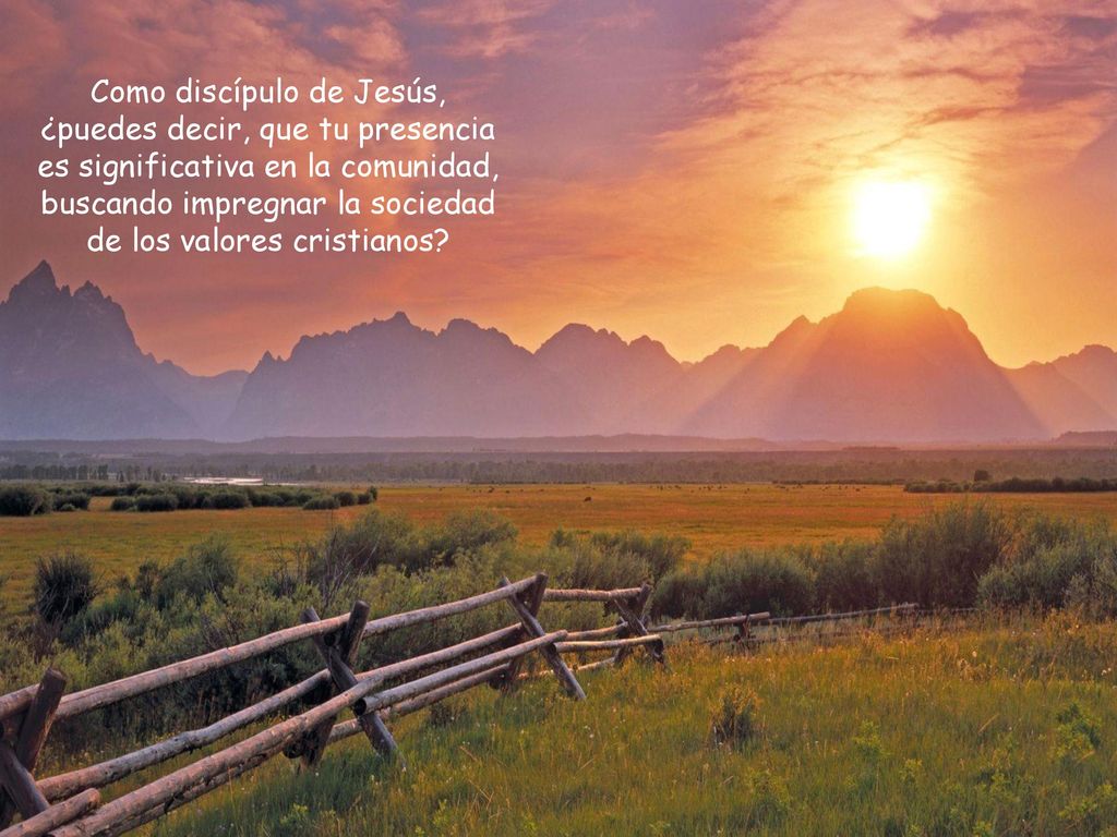 Como discípulo de Jesús, ¿puedes decir, que tu presencia es significativa en la comunidad, buscando impregnar la sociedad de los valores cristianos