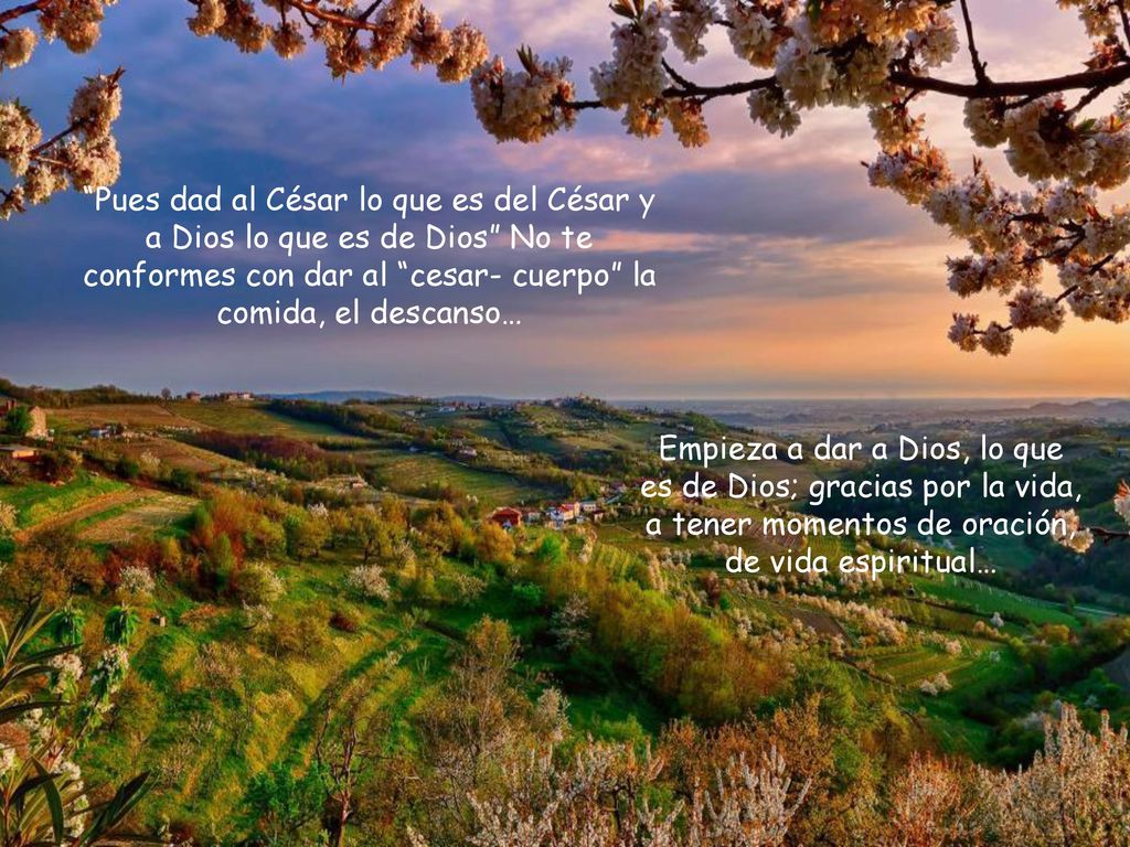 Pues dad al César lo que es del César y a Dios lo que es de Dios No te conformes con dar al cesar- cuerpo la comida, el descanso…