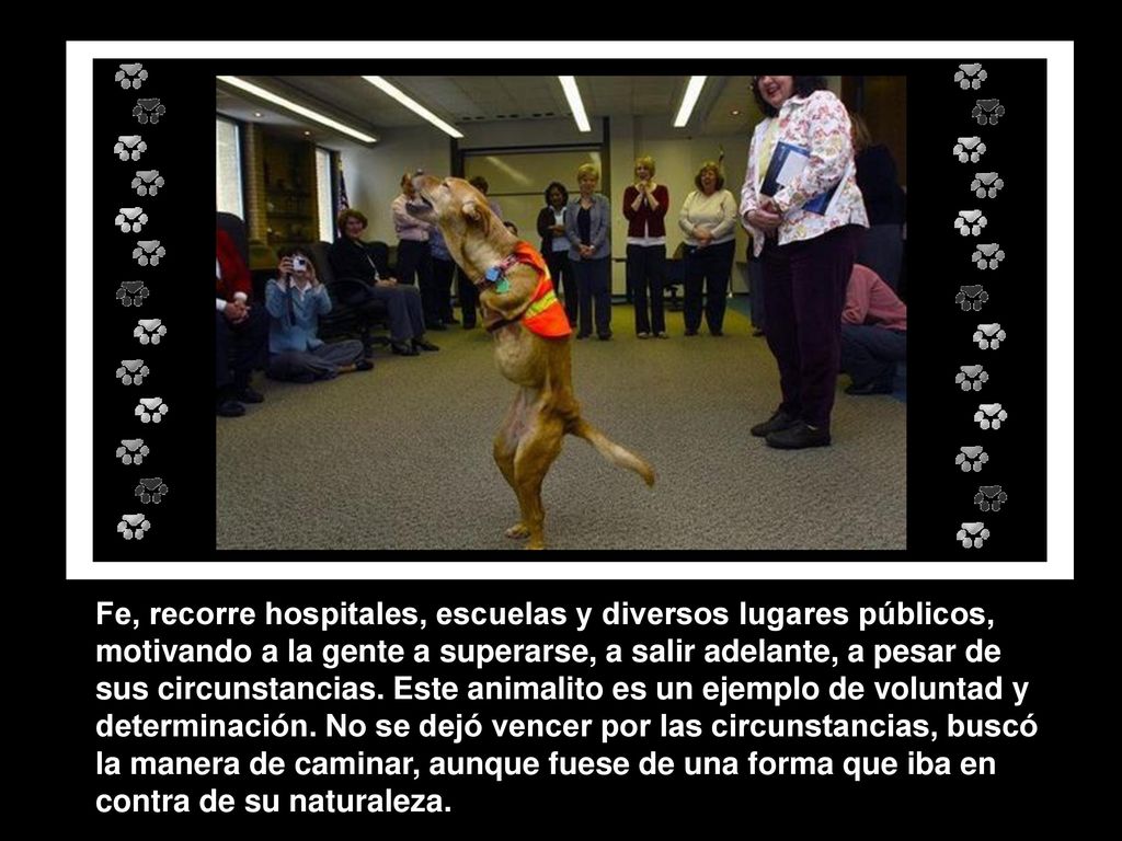 Fe, recorre hospitales, escuelas y diversos lugares públicos, motivando a la gente a superarse, a salir adelante, a pesar de sus circunstancias.