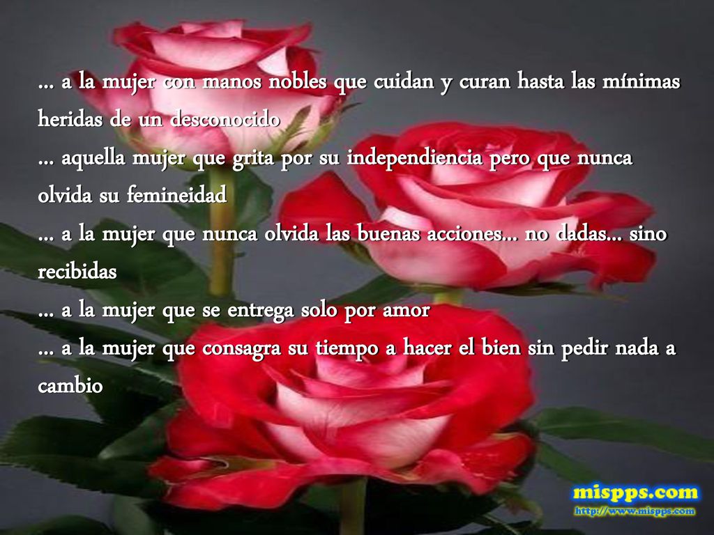 ... a la mujer con manos nobles que cuidan y curan hasta las mínimas heridas de un desconocido ...