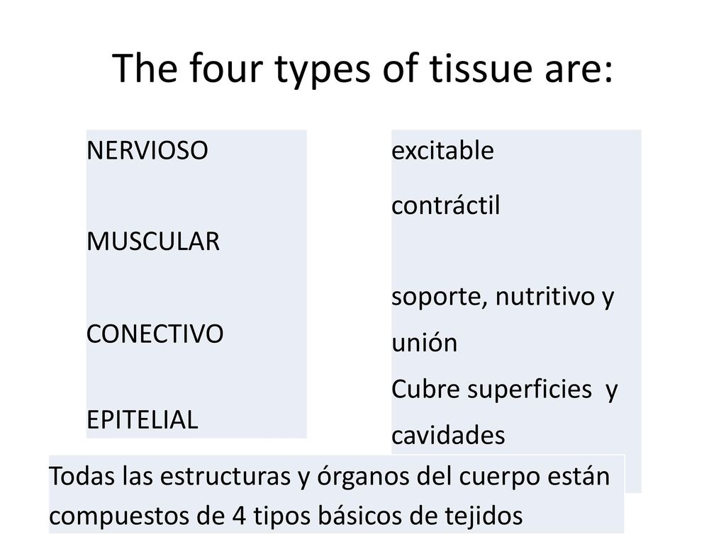 The four types of tissue are: