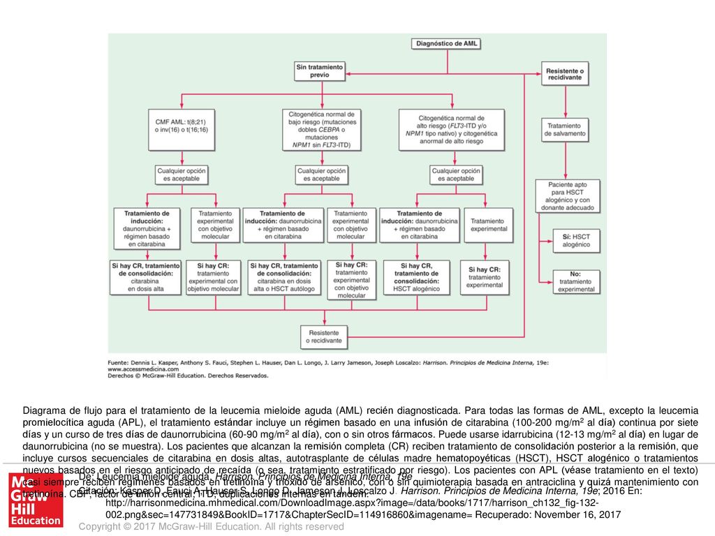 Diagrama de flujo para el tratamiento de la leucemia mieloide aguda (AML) recién diagnosticada. Para todas las formas de AML, excepto la leucemia promielocítica aguda (APL), el tratamiento estándar incluye un régimen basado en una infusión de citarabina ( mg/m2 al día) continua por siete días y un curso de tres días de daunorrubicina (60-90 mg/m2 al día), con o sin otros fármacos. Puede usarse idarrubicina (12-13 mg/m2 al día) en lugar de daunorrubicina (no se muestra). Los pacientes que alcanzan la remisión completa (CR) reciben tratamiento de consolidación posterior a la remisión, que incluye cursos secuenciales de citarabina en dosis altas, autotrasplante de células madre hematopoyéticas (HSCT), HSCT alogénico o tratamientos nuevos basados en el riesgo anticipado de recaída (o sea, tratamiento estratificado por riesgo). Los pacientes con APL (véase tratamiento en el texto) casi siempre reciben regímenes basados en tretinoína y trióxido de arsénico, con o sin quimioterapia basada en antraciclina y quizá mantenimiento con tretinoína. CBF, factor de unión central; ITD, duplicaciones internas en tándem.