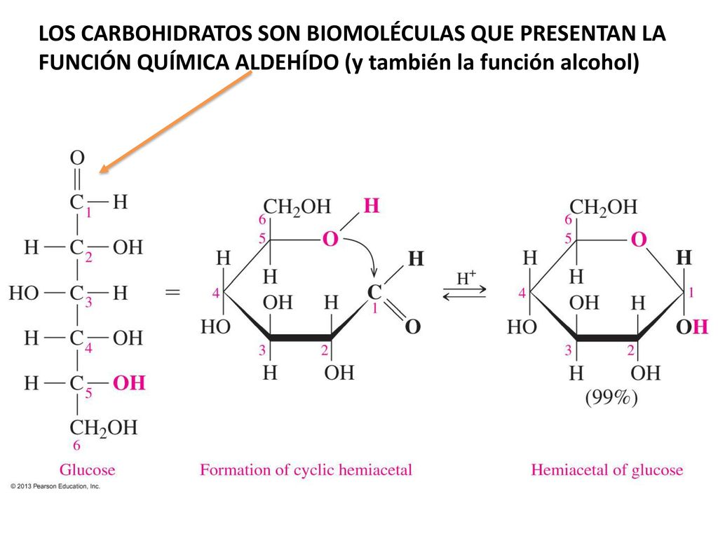 LOS CARBOHIDRATOS SON BIOMOLÉCULAS QUE PRESENTAN LA FUNCIÓN QUÍMICA ALDEHÍDO (y también la función alcohol)