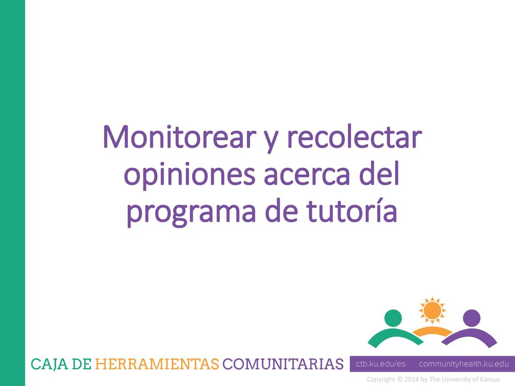Monitorear y recolectar opiniones acerca del programa de tutoría
