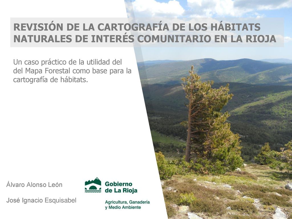 REVISIÓN DE LA CARTOGRAFÍA DE LOS HÁBITATS NATURALES DE INTERÉS COMUNITARIO EN LA RIOJA