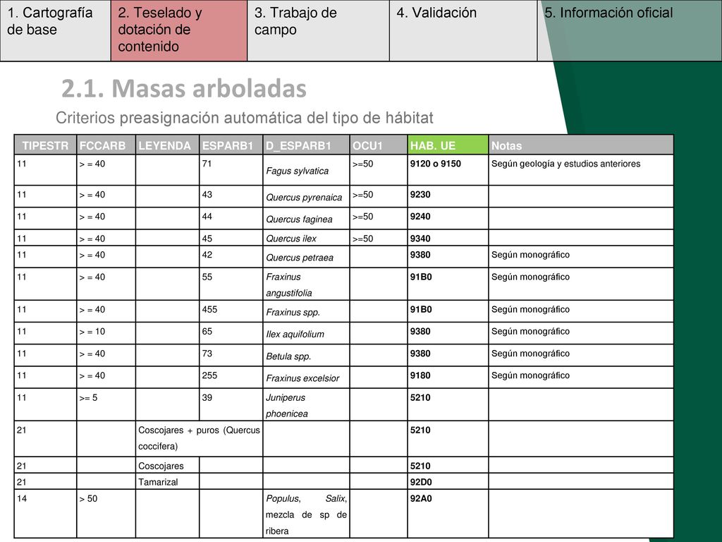1. Cartografía de base 2. Teselado y dotación de contenido. 3. Trabajo de campo. 4. Validación. 5. Información oficial.