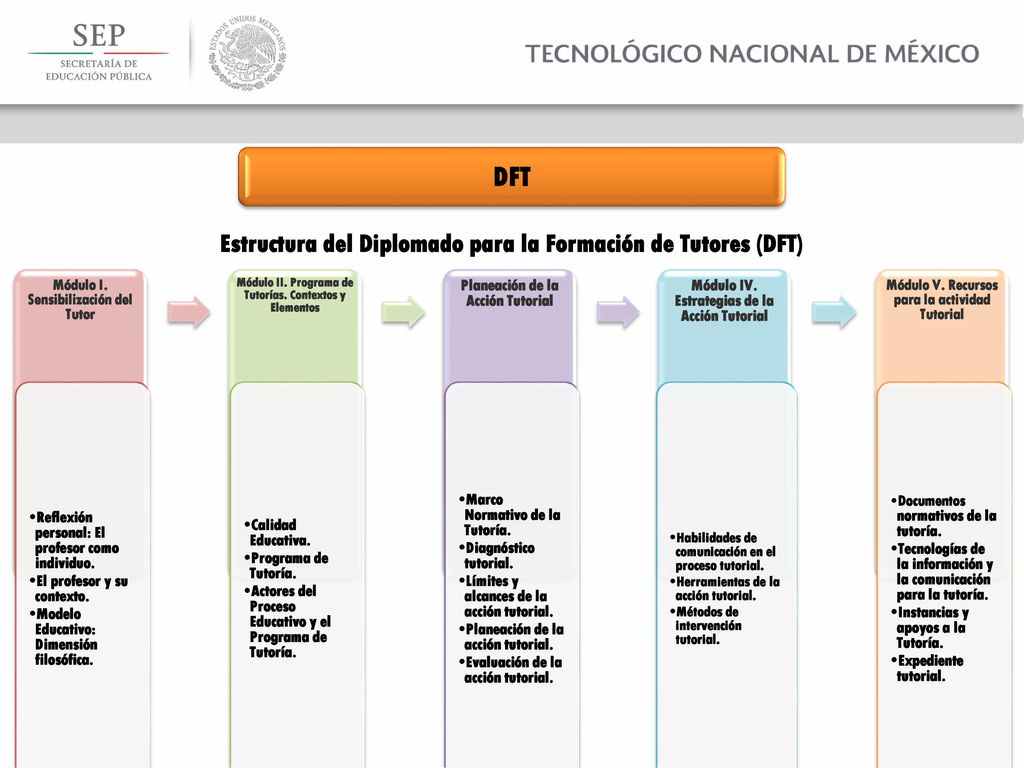 Estructura del Diplomado para la Formación de Tutores (DFT)