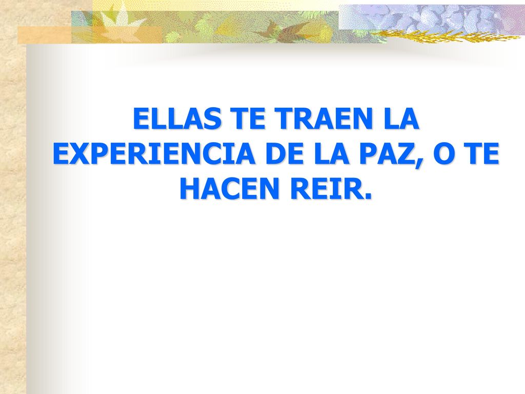 ELLAS TE TRAEN LA EXPERIENCIA DE LA PAZ, O TE HACEN REIR.