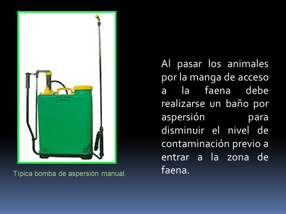 Al pasar los animales por la manga de acceso a la faena debe realizarse un baño por aspersión para disminuir el nivel de contaminación previo a entrar a la zona de faena.