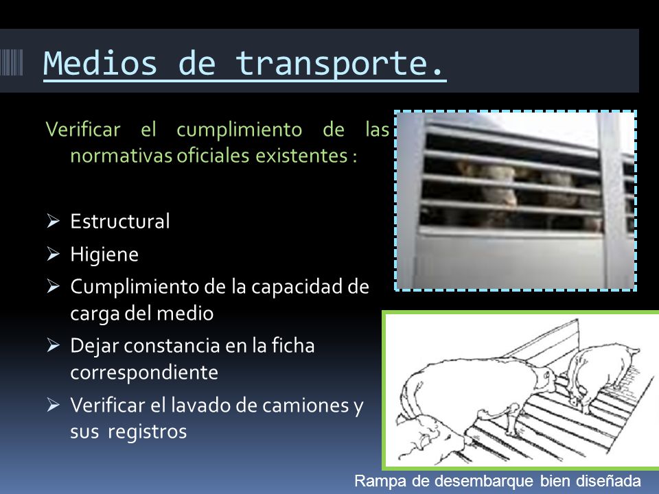Medios de transporte. Verificar el cumplimiento de las normativas oficiales existentes : Estructural.