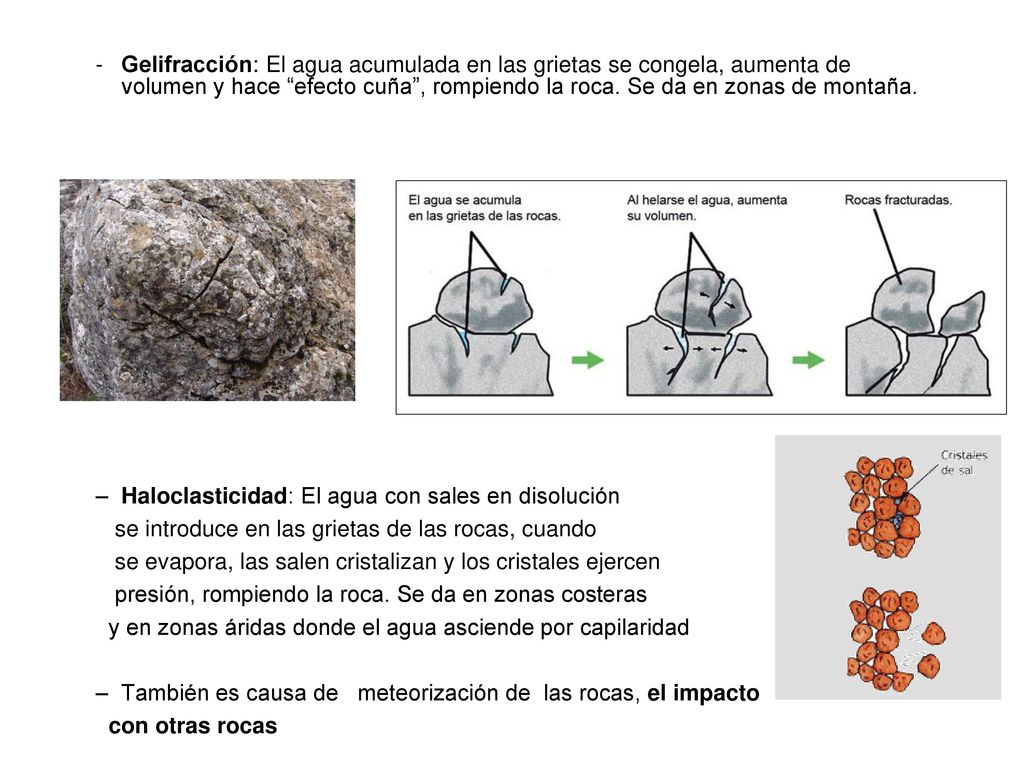 Gelifracción: El agua acumulada en las grietas se congela, aumenta de volumen y hace efecto cuña , rompiendo la roca. Se da en zonas de montaña.