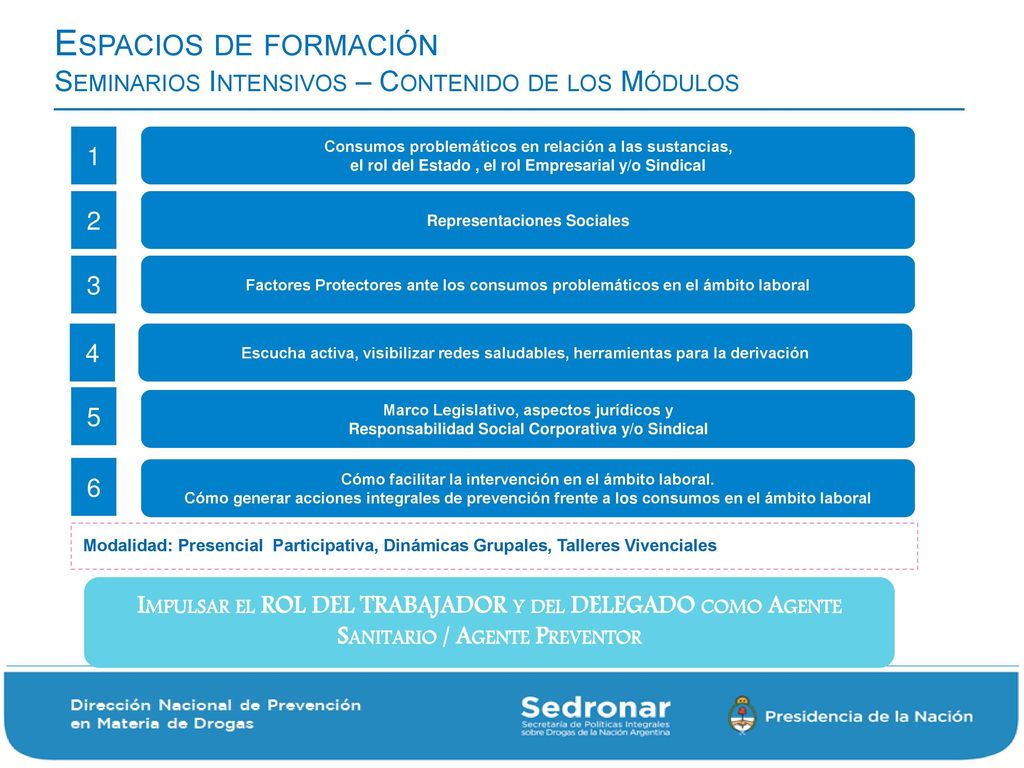 Espacios de formación Seminarios Intensivos – Contenido de los Módulos