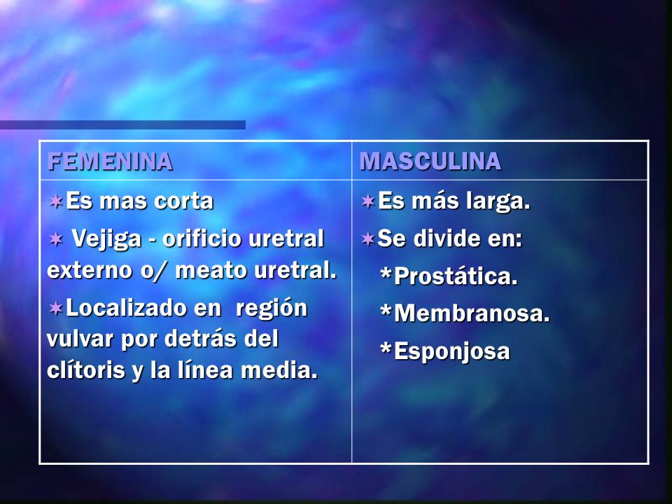 FEMENINA MASCULINA. Es mas corta. Vejiga - orificio uretral externo o/ meato uretral.