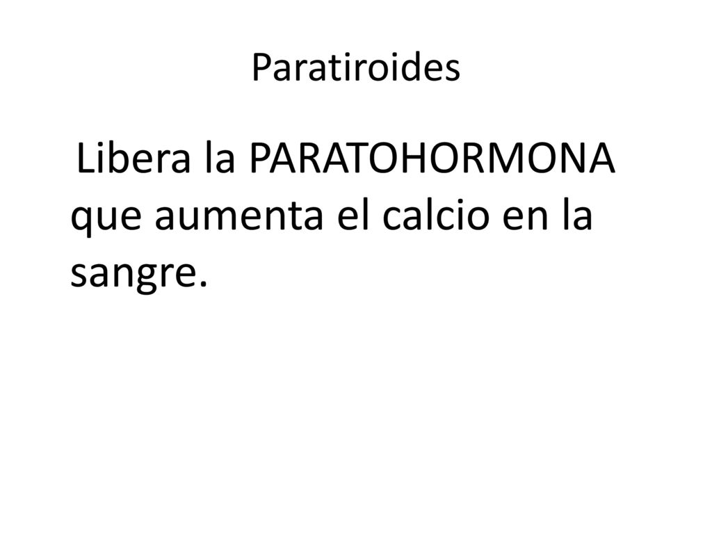 Libera la PARATOHORMONA que aumenta el calcio en la sangre.