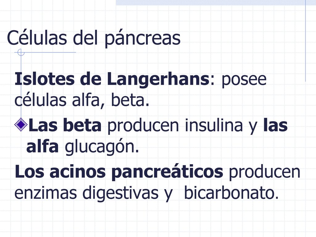 Células del páncreas Islotes de Langerhans: posee células alfa, beta.