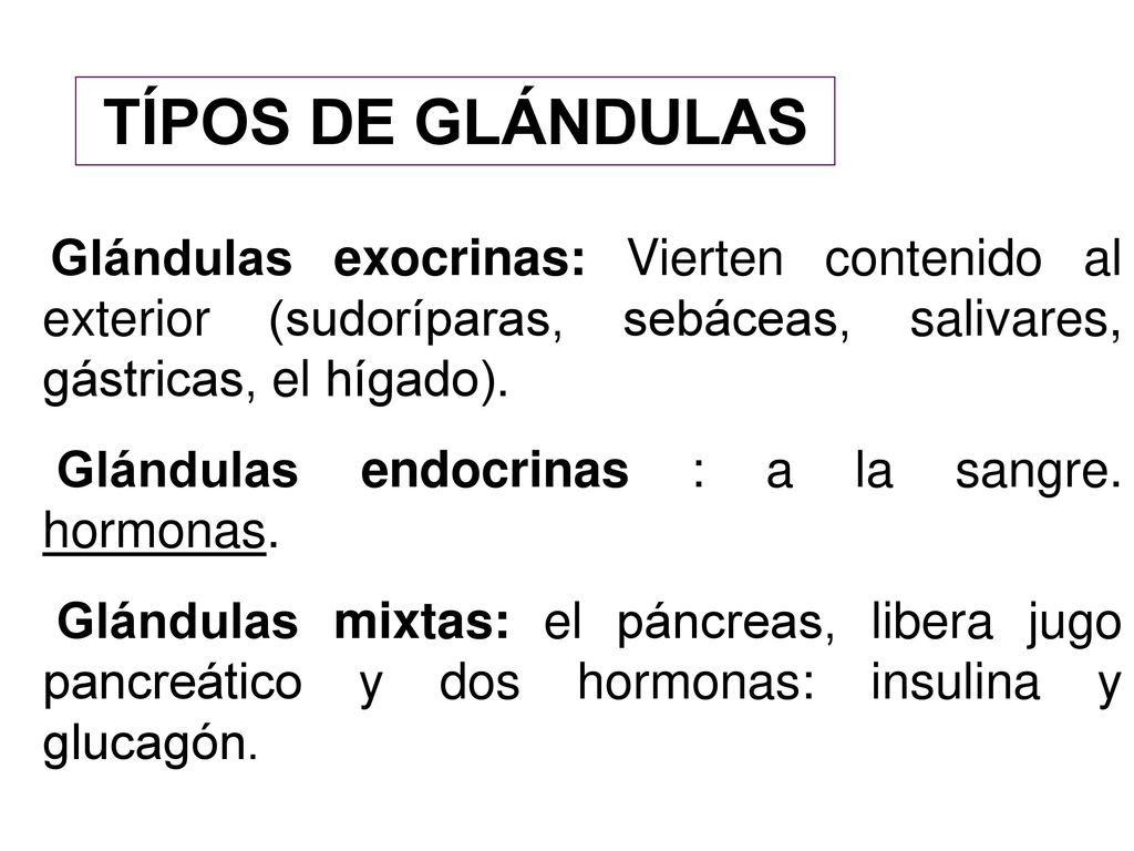 TÍPOS DE GLÁNDULAS Glándulas endocrinas : a la sangre. hormonas.