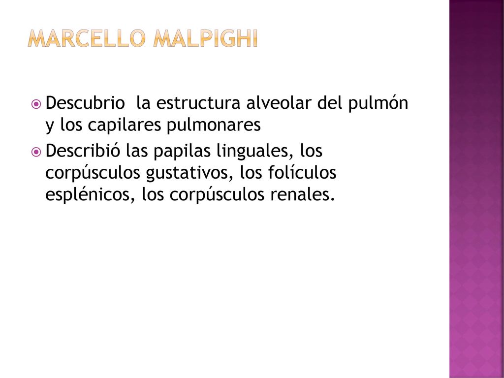 MARCELLO MALPIGHI Descubrio la estructura alveolar del pulmón y los capilares pulmonares.