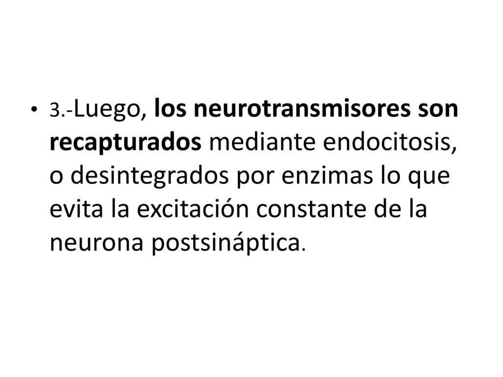 3.-Luego, los neurotransmisores son recapturados mediante endocitosis, o desintegrados por enzimas lo que evita la excitación constante de la neurona postsináptica.