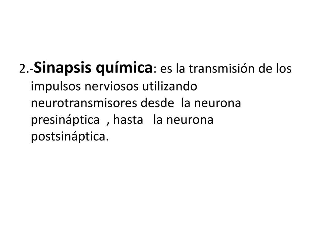 2.-Sinapsis química: es la transmisión de los impulsos nerviosos utilizando neurotransmisores desde la neurona presináptica , hasta la neurona postsináptica.