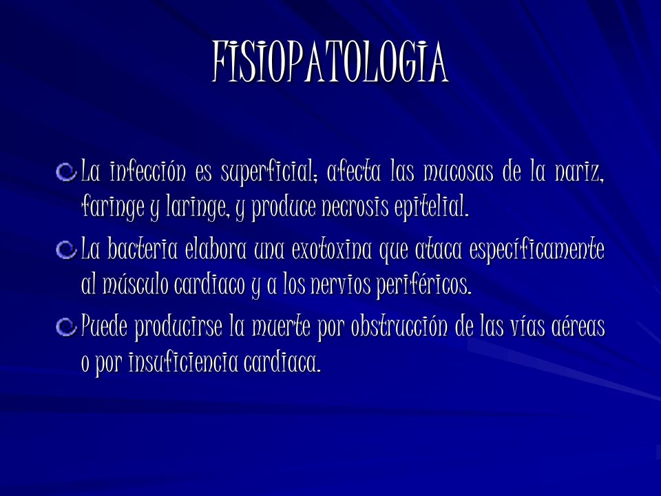 FISIOPATOLOGIA La infección es superficial; afecta las mucosas de la nariz, faringe y laringe, y produce necrosis epitelial.