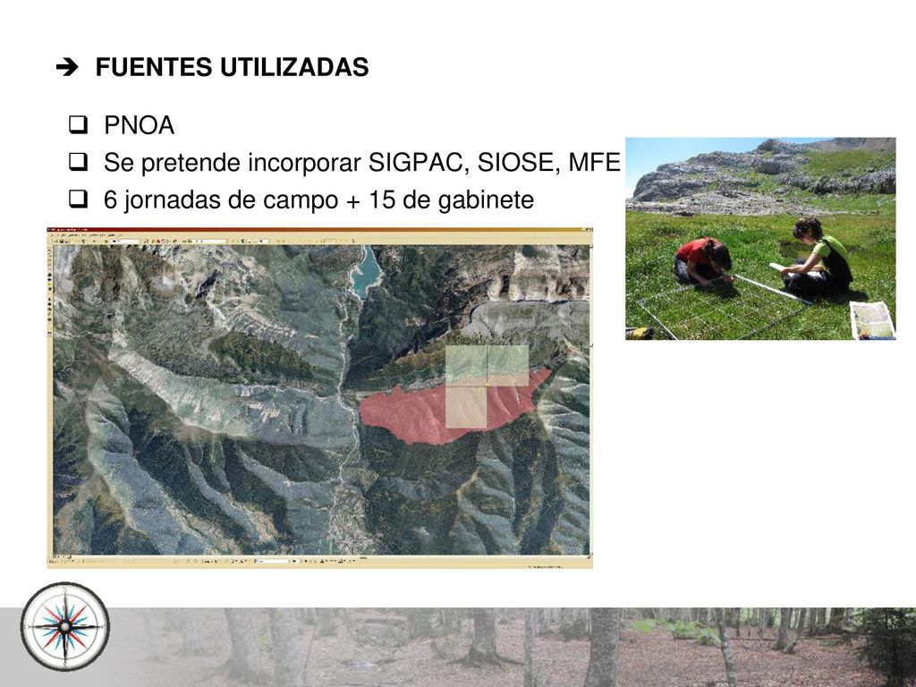 FUENTES UTILIZADAS PNOA. Se pretende incorporar SIGPAC, SIOSE, MFE.