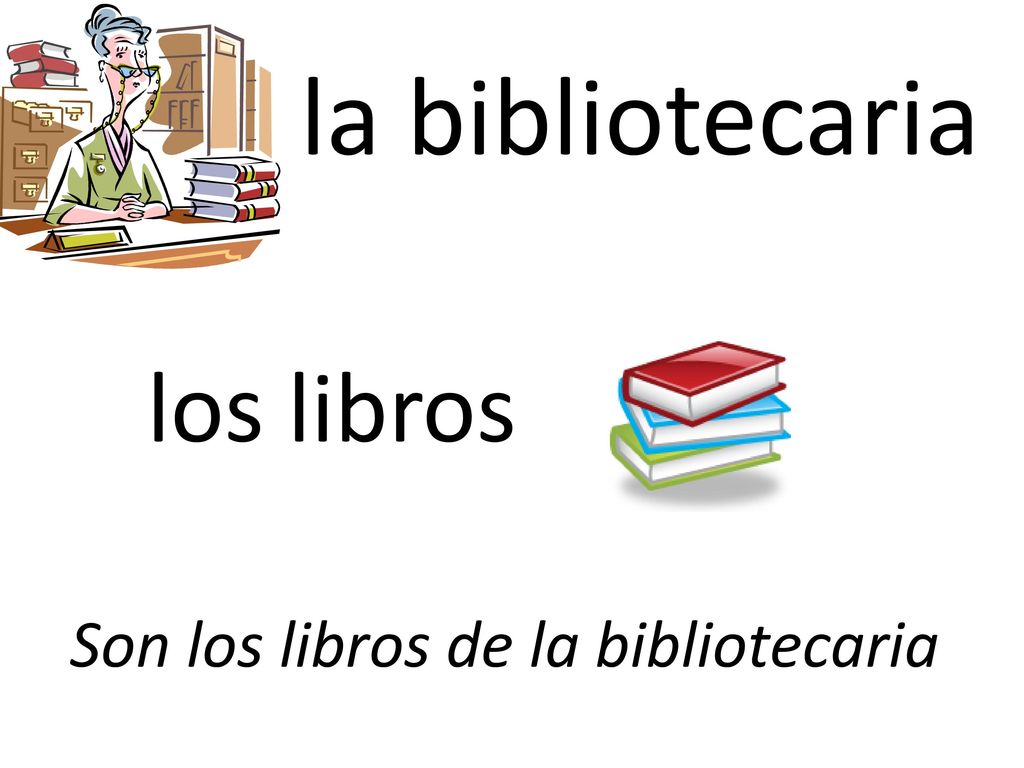 la bibliotecaria los libros Son los libros de la bibliotecaria