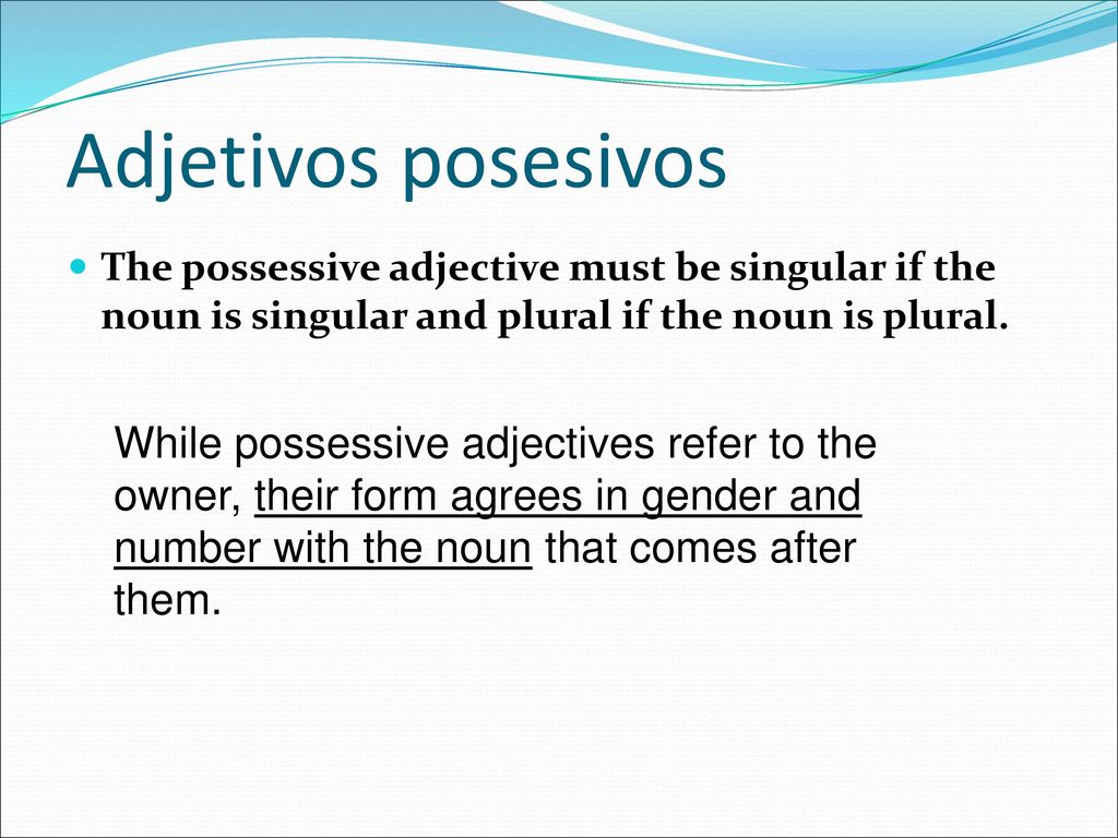 Adjetivos posesivos The possessive adjective must be singular if the noun is singular and plural if the noun is plural.