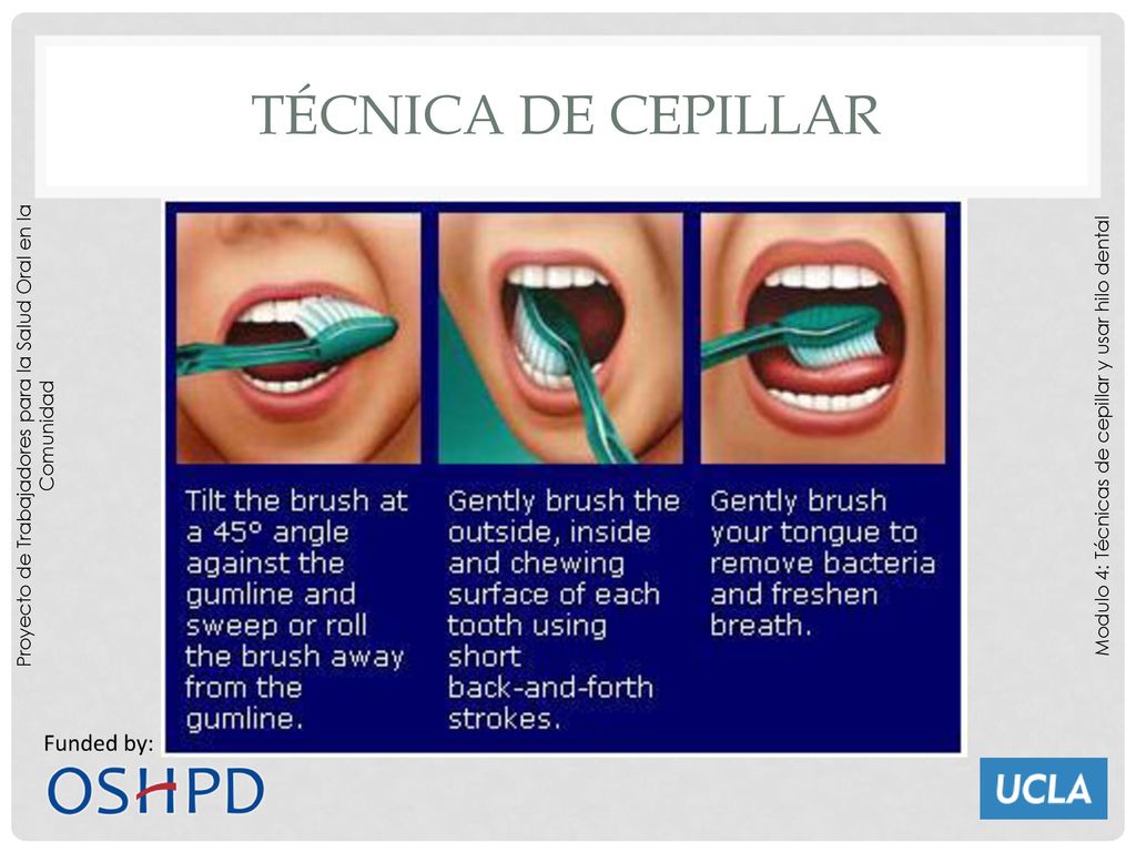 Técnica de cepillar Proyecto de Trabajadores para la Salud Oral en la Comunidad.