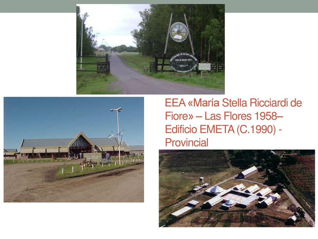 EEA «María Stella Ricciardi de Fiore» – Las Flores 1958– Edificio EMETA (C.1990) - Provincial