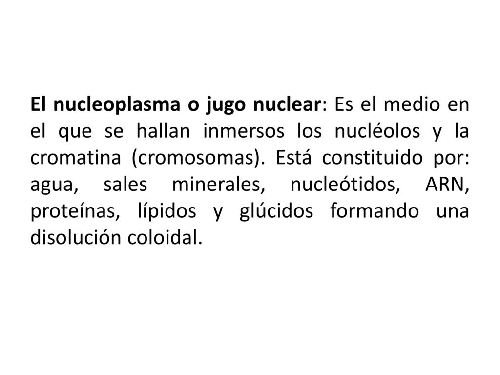 El nucleoplasma o jugo nuclear: Es el medio en el que se hallan inmersos los nucléolos y la cromatina (cromosomas).