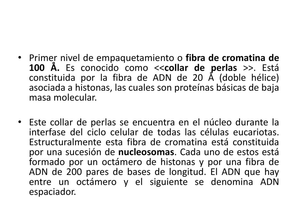 Primer nivel de empaquetamiento o fibra de cromatina de 100 Å