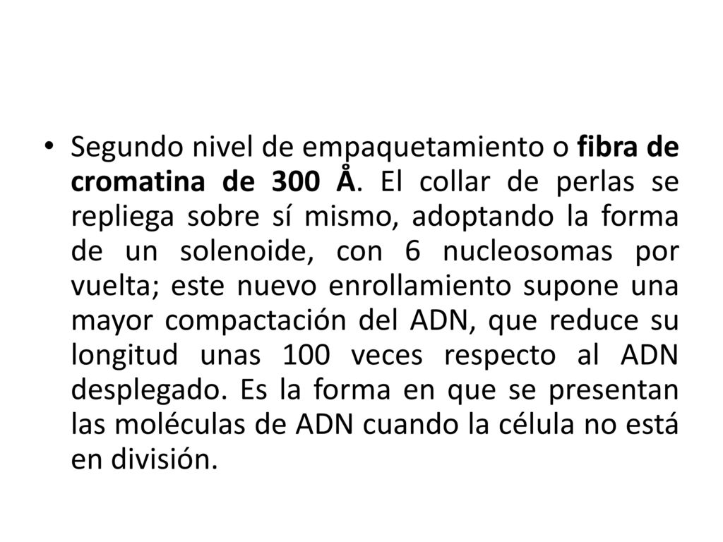 Segundo nivel de empaquetamiento o fibra de cromatina de 300 Å