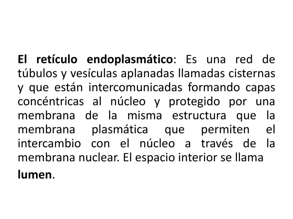 El retículo endoplasmático: Es una red de túbulos y vesículas aplanadas llamadas cisternas y que están intercomunicadas formando capas concéntricas al núcleo y protegido por una membrana de la misma estructura que la membrana plasmática que permiten el intercambio con el núcleo a través de la membrana nuclear.