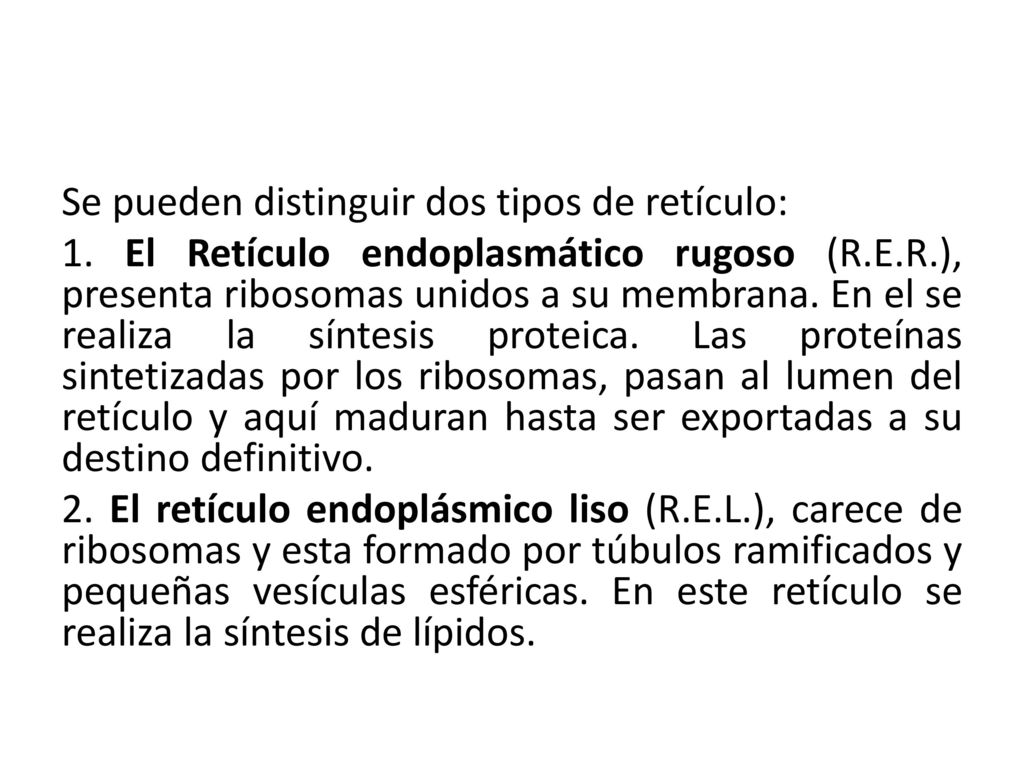 Se pueden distinguir dos tipos de retículo: 1