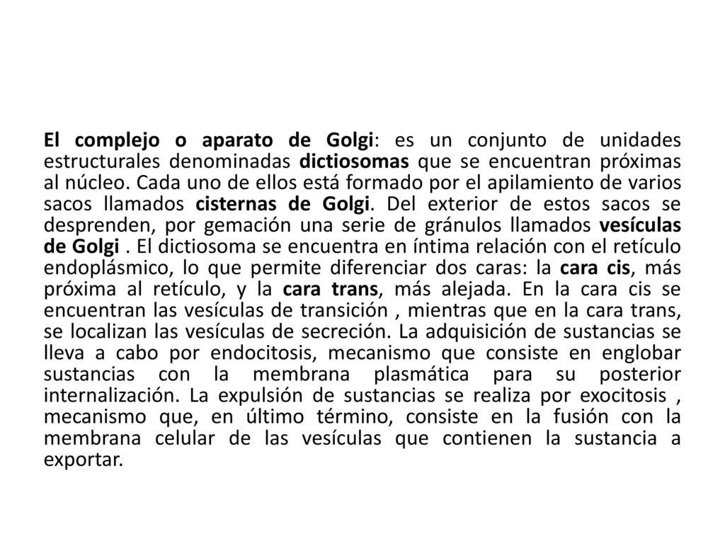 El complejo o aparato de Golgi: es un conjunto de unidades estructurales denominadas dictiosomas que se encuentran próximas al núcleo.