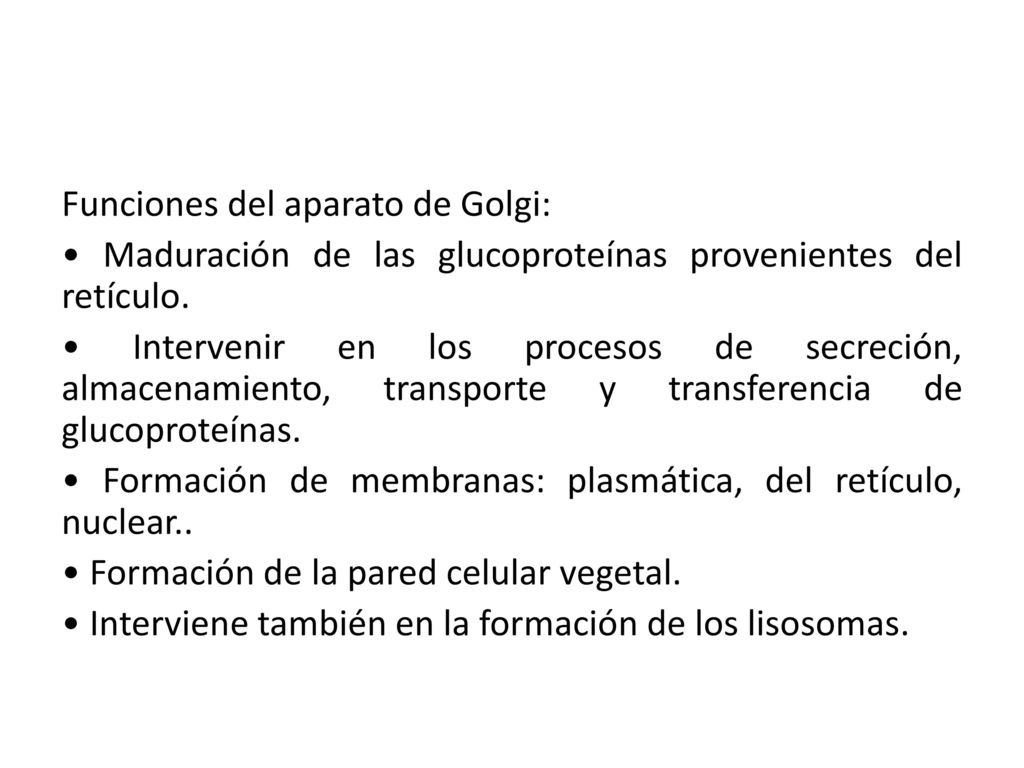 Funciones del aparato de Golgi: • Maduración de las glucoproteínas provenientes del retículo.